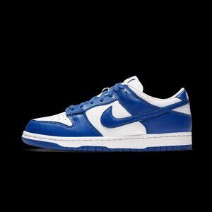 Nike Dunk Low Retro Shoes EU 40